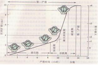 The Asia-Pacific medical device market enters the fast lane, faster than global growth